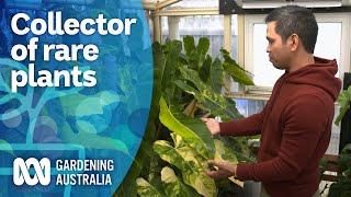 The tropical plant collector propagating rare plants en masse | My Garden Path | Gardening Australia