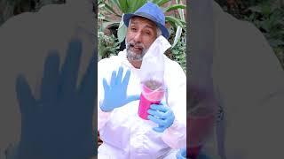 زراعة النعناع ( الطريقة الثانية ) من العروش @youtubecreators #YuoTubeHighFive