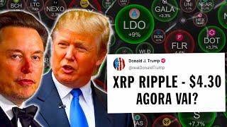 BITCOIN HOJE: XRP RUMO A $4.30? Solana e Pendle Também Podem Explodir? 