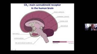 The Health Impact of Cannabis by Daniele Piomelli, PhD | UCI CTVR