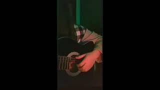 Billie Eilish - when the party´s over (acoustic cover)