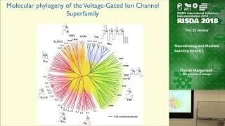 Neurobiology and Machine Learning 1 ④