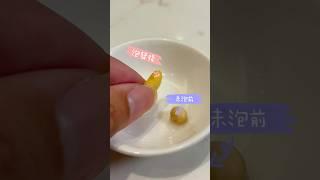 你有自己從頭到尾做過一杯豆漿嘛!!? 其實流程比想像中簡單喔!自己做喝得更安心! #豆漿 #vitamix #料理教學 #大侑 #養生
