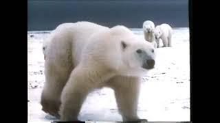 National Geographic Special, Great Moments With National Geographic (1991)