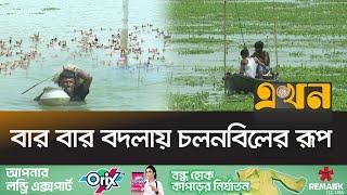 ৩ হাজার কোটি টাকার অর্থনীতির উৎস চলনবিল | Natore Chalanbil | Ekhon TV