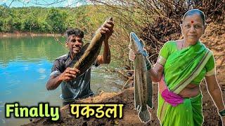 Snakehead Fishing|गरीला लागला मोठा मरळ मासा|छातीभर पाण्यात जाऊन काढावा लागला मासा|River Fishing