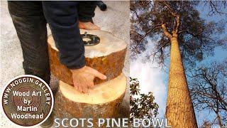 Woodturning. Scots Pine End grain bowl