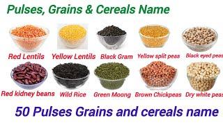 50 Pulses Grains and cereals name in English with Pictures.