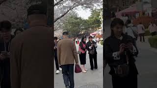 Chinese Looks in Photography: From Traditional to Modern”