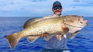 INSANE Offshore Bottom Fishing GIANT Gag Grouper (50+ Miles Out Tampa Bay)