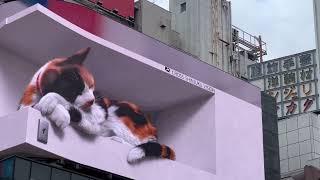 [4k] Giant 3D Cat on Billboard in Shinjuku - Tokyo Japan 3D 猫新宿東京