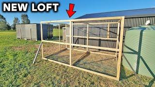 BUILDING A NEW PIGEON LOFT