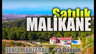 Kuşadası'nda Satılık Çiftlik - Satılık Malikane