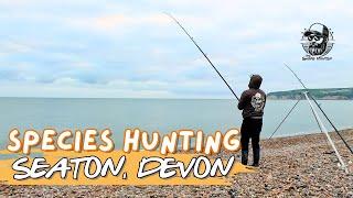 Species Hunting in Seaton, Devon Using Dongle Rig | Fishing With Wayne 