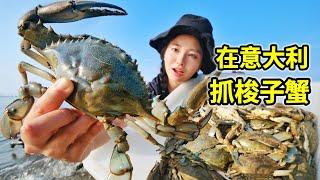 Italy flooded with blue crabs, 100 pounds caught in 2 hours, too many crabs！| Italy | Crabs |