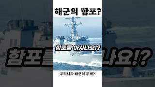 24km 밖도 명중! 정조대왕급 구축함의 함포는!?