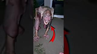 Top 5 Strangest Humans That'll Break Your Brain