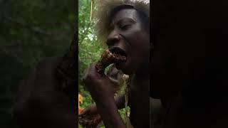 Eating Bee Larvae & Honey with the Hadza Tribe 