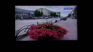 КОРРУПЦИЯ В ПЫТЬ ЯХЕ