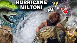 HURRICANE! GOTTA CATCH MY ANIMALS!