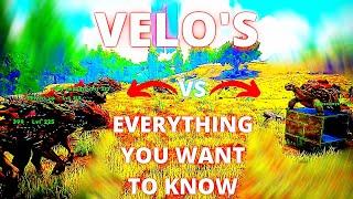 ark velo | Velonasaur Best Stats | velo how to Level Up | Ark pvp tips