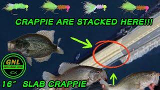 How To Catch Pre-Spawn CRAPPIE On Bridges! 16” MONSTER CRAPPIE Lake Guntersville Kayak Fishing 2025