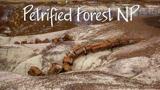 Petrified Forest National Park, Arizona