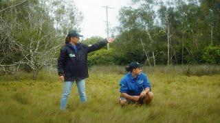 Saltmarsh and Why We Should Care (Growing River Stewardship).