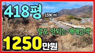 공시지가 4340만원 매매가 1250만원 1590㎡ (481평) 밀양땅 매매 #밀양토지 #밀양임야 #싼땅매매