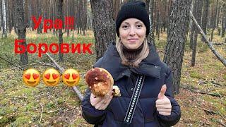 Нашла первый в своей жизни ОГРОМНЫЙ БОРОВИК !!!