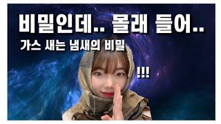 (향료 연구원 피셜) 어디서 가스 새는 냄새 안나요? 그건 다..