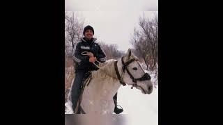 Песня! Зима, лошадь,всадник