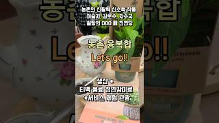 농촌의 신활력 사업 신소득 작물 이슬차, 감로수, 차수국 설탕의 000 배  농촌 융복합 6차산업  생산 * 티백 음료 천연감미료 *서비스 체험 관광 #쇼츠 #관광 #자원