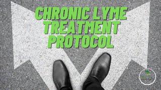 What does a typical Lyme treatment protocol look like?