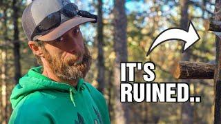 Our Property Took A HIT| Storm Damage on our Cabin Homestead| Stairs Update & Back 40 Tour