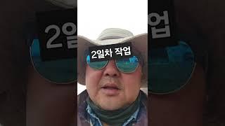 전국을가다.평택 밭작업.보상전문작업.과수원조성.나무보상.식재