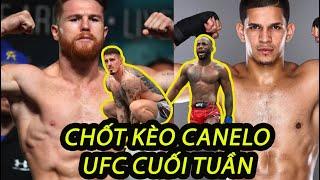 Canelo Alvarez XÁC ĐỊNH ĐỐI THỦ l UFC CUỐI TUẦN với 2 nhà vô địch Anh quốc Tom Aspinall Leon Edwards