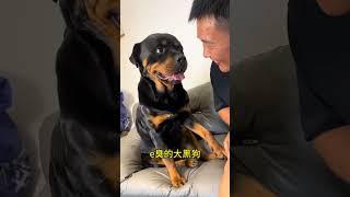拉登:亮～你怎么也说！ #拉登与阿亮的日常生活