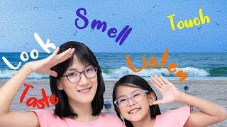 Learn Five Senses In Chinese  |学习中文：感官动词儿童中文课｜Mandarin lesson for kids| Children Chinese class