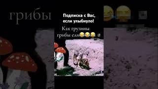 С первым днём осени- всё за грибами! #грибы #юмор #лесной #природа #природные #лес #nature #вода