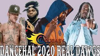 DANCEHALL MIX DECEMBER 2020 REAL DAWGS ALKALINE,VYBZ KARTEL,TEEJAY,CHRONIC LAW,JAHMIEL,SHANEIL MUIR