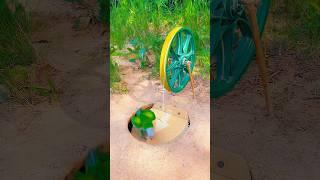 Unique Innovative Parrot Trap_Very Creative Trap ldea #shorts