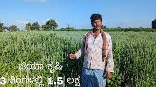 ಅನುಭವಿ ರೈತರಿಂದ ಚಿಯಾ ಕೃಷಿ ಮತ್ತು ಅದರ ಲಾಭ | CHIA CULTIVATION @DarviGroup