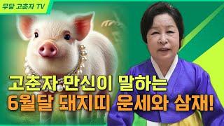 [#띠별운세 #돼지띠 #삼재] 고춘자 만신이 말하는 마지막 상반기 돼지띠 운세와 삼재 정보!/ 예약문의 010. 2338. 0388