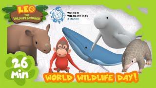 IT'S WORLD WILDLIFE DAY (3rd MARCH)! | Save Our Animals! | Leo the Wildlife Ranger | Kids Animation