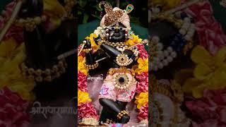 jay radhe jay radhe  indresh upadhyay ji # radha raman  #devotionalbhajans