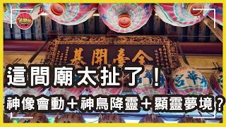 走廟趣110【開基永華宮】陳守娘顯靈、八哥變神！台南最神宮廟你敢拜嗎？全台唯一廣澤尊王軟身神像|連韋小寶的師父都在裡面？！