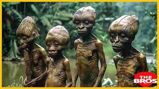 Ibintu 10 Bidasanzwe Muri CONGO utasanga ahandi kw’Isi‍(TheBros)