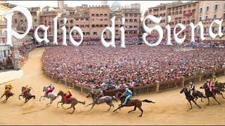 Palio di Siena  - PURE MADNESS   [Casato]