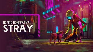 Во что поиграть? - Stray